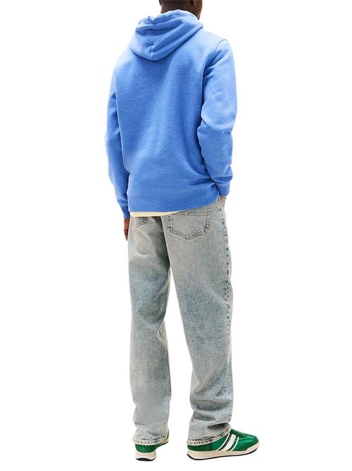 Felpa azzurra in cotone Tommy Jeans | DM0DM20258DSF